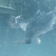 Illustration for article titled Kotaku Timeline: emThe Last Guardian/em